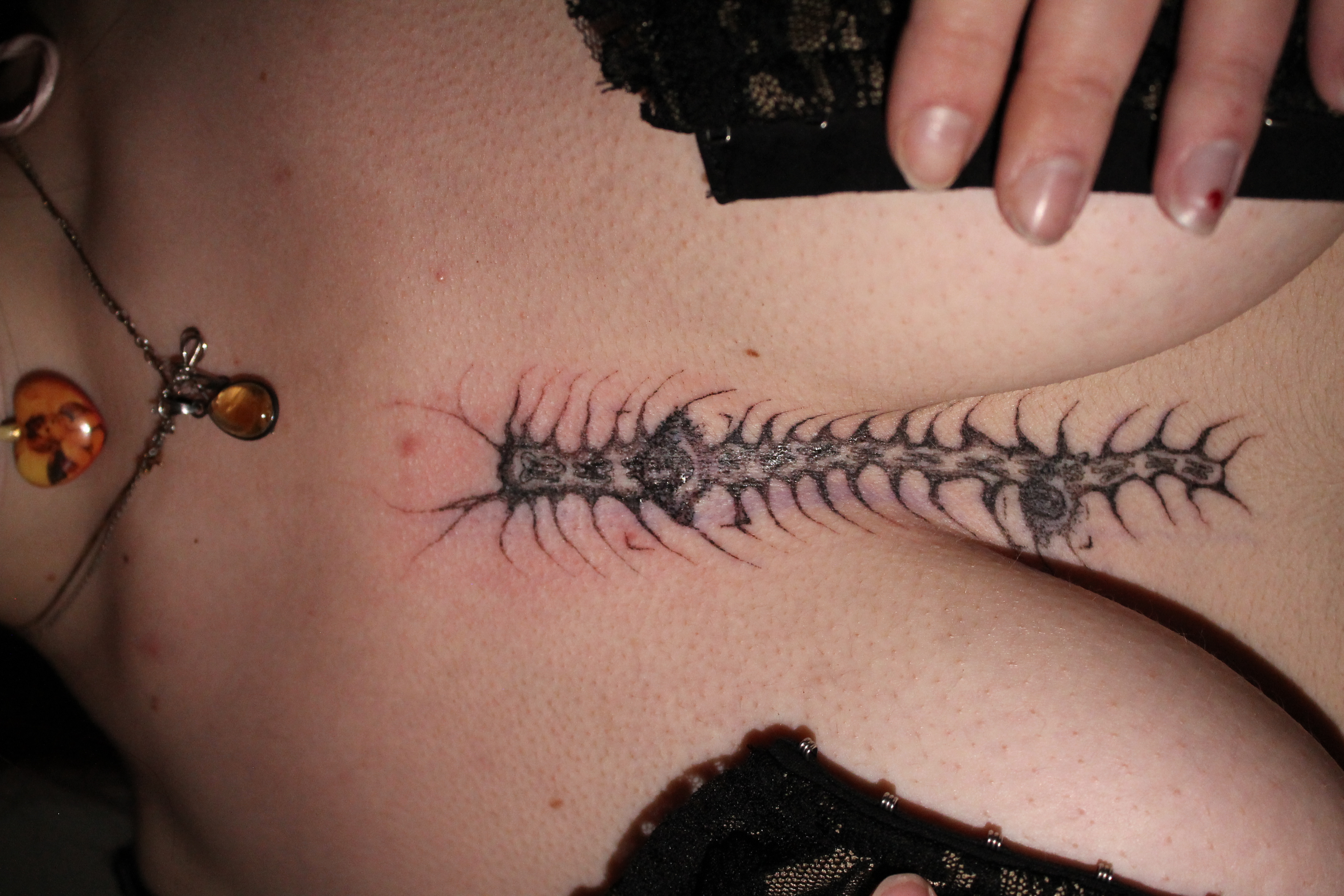 one-eyed centipede
